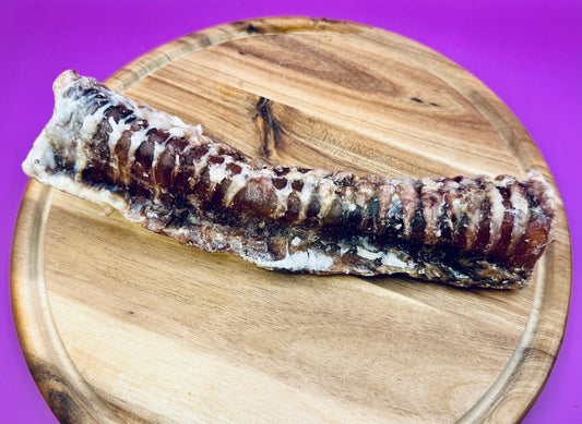 Beef Trachea 20cm
