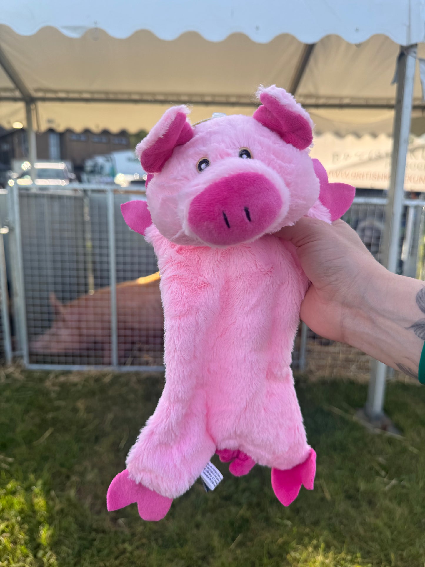 Petface Buddies Crinkle Pig Toy