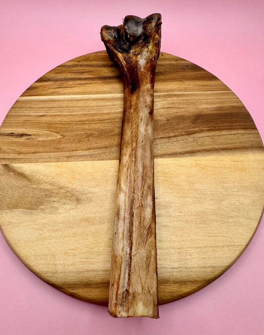 Ostrich Bone