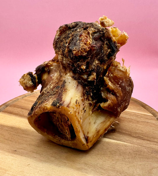 British Beef Knuckle Bone