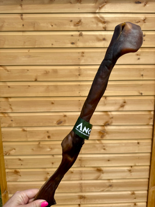 Giant Camel Stick