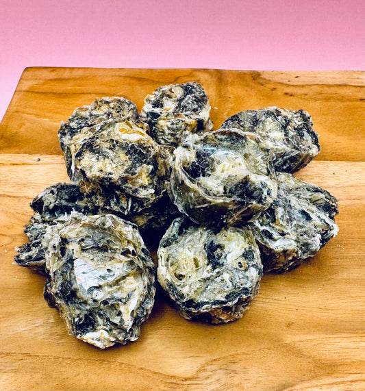 Fish Skin Coins