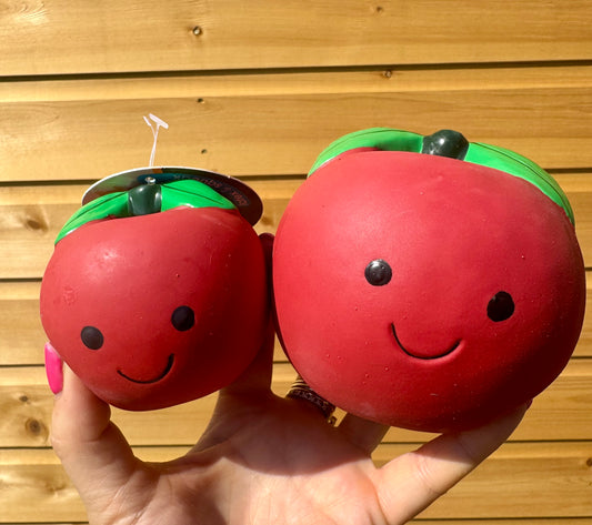 Pet Face Foodie Faces Tomato