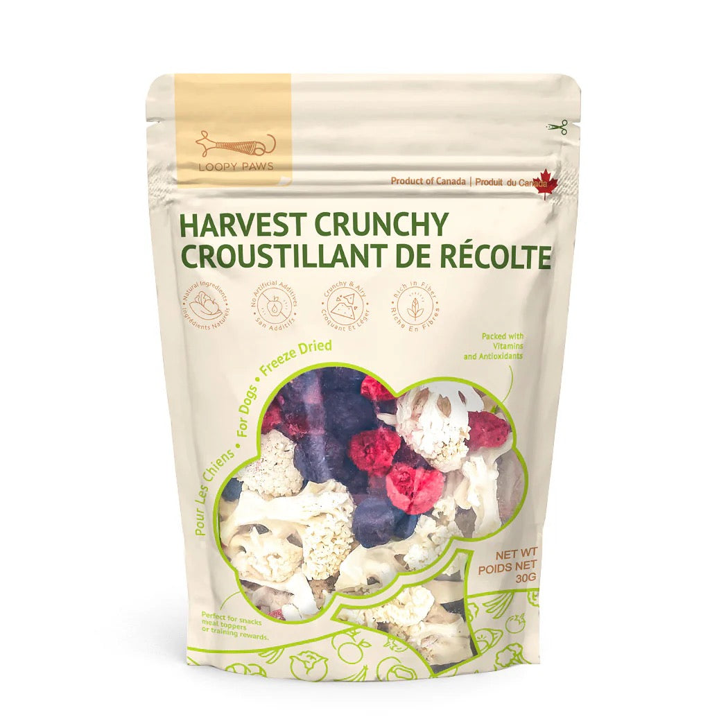Loopy Paws Harvest Crunch Cauliflower - Mixed