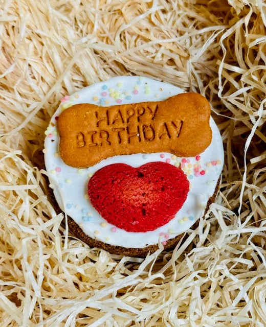 Doggy Birthday Cake
