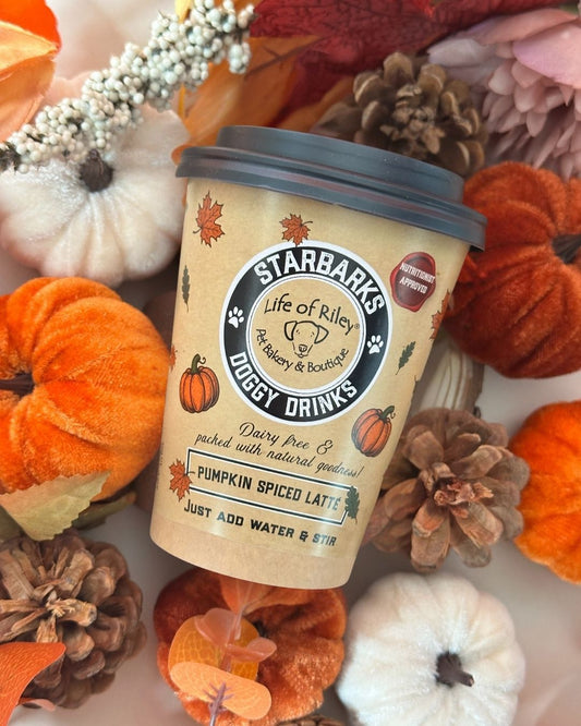 Life of Riley Starbarks Pumpkin Spiced Latte