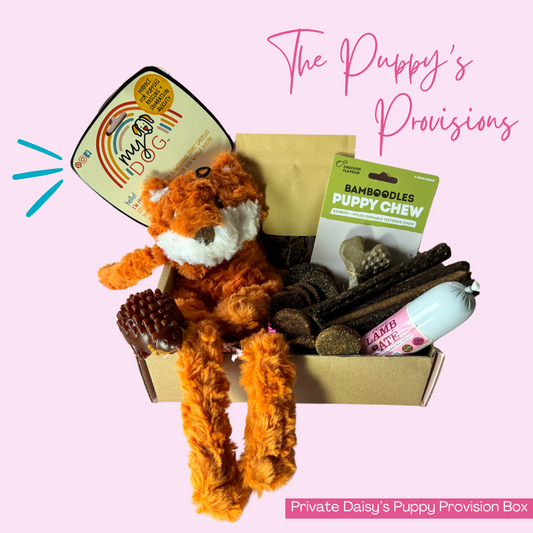 The Puppy's Provisions