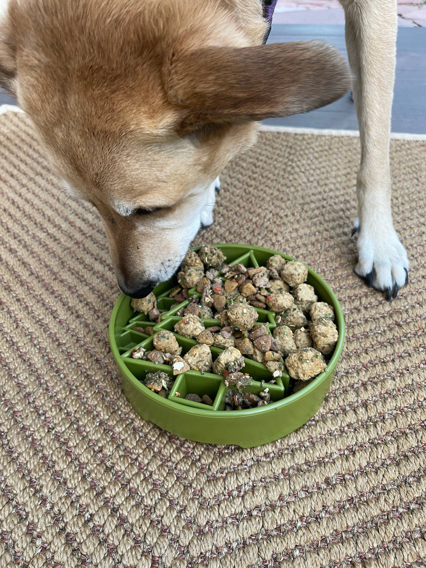 Pine Tree eBowl Enrichment Slow Feeder Bowl for Dogs