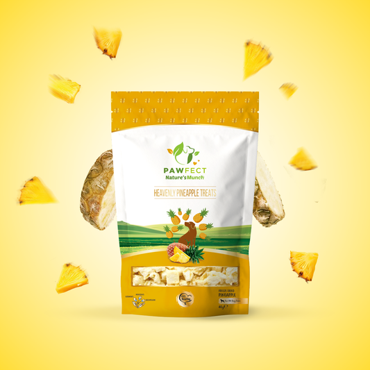Pawfect Nature's Munch Freeze Dried Tangy Pineapple Treats