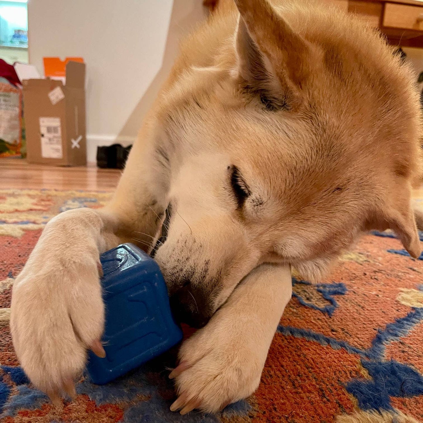 Love Cube Chew Toy & Treat Dispenser