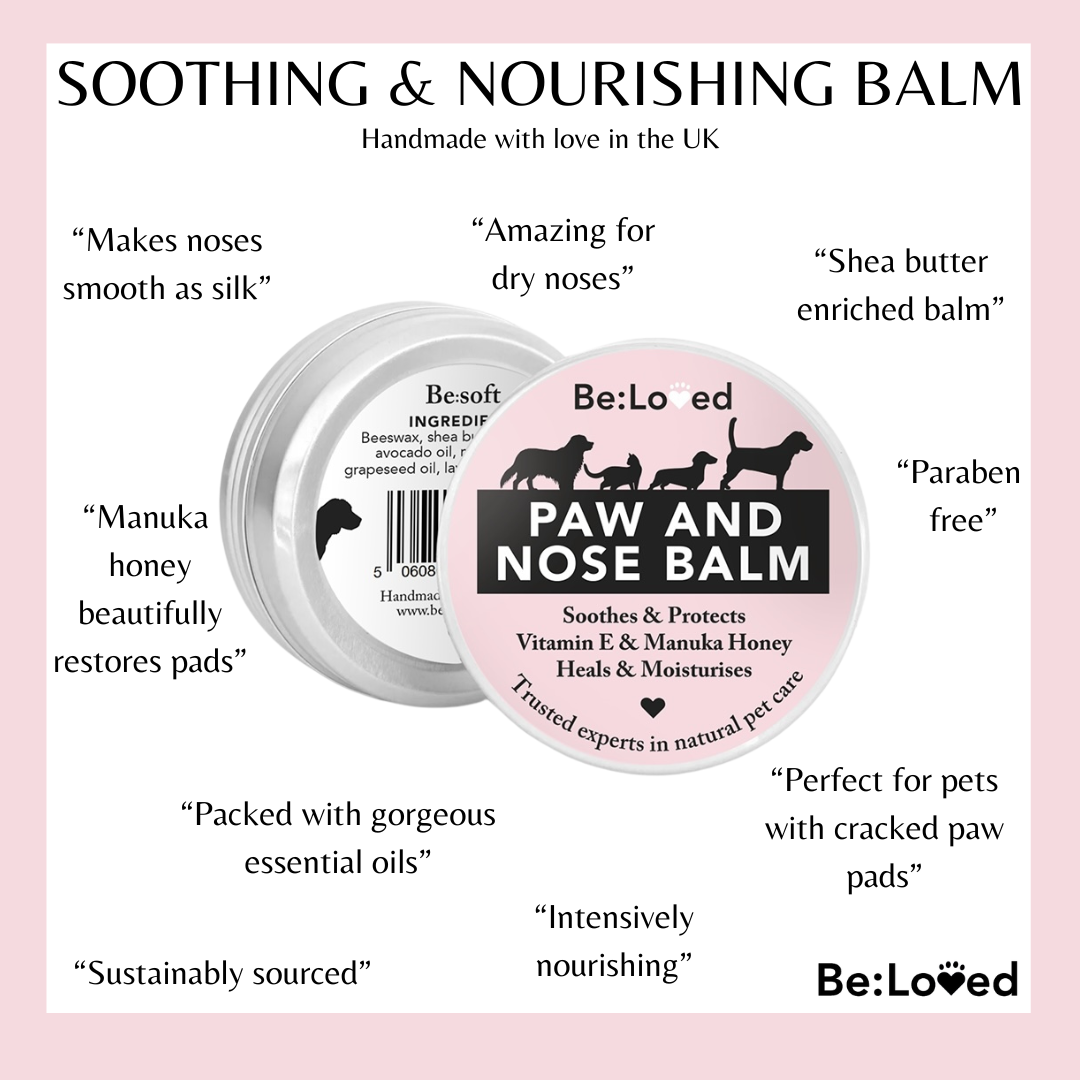 Be:Soft Dog - Pet Nose & Paw Balm
