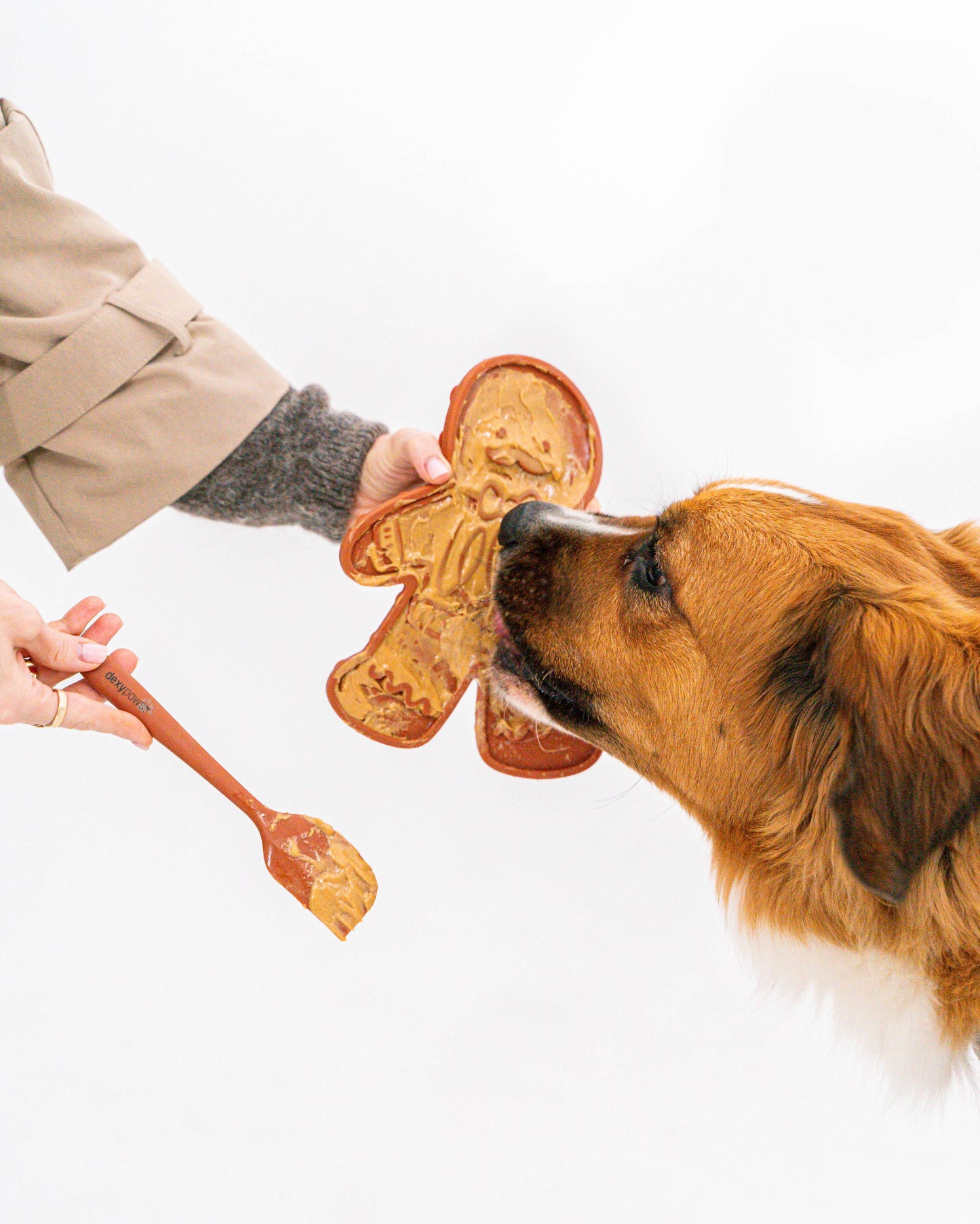 Dexy Paws Gingerbread Man & Spatula Set