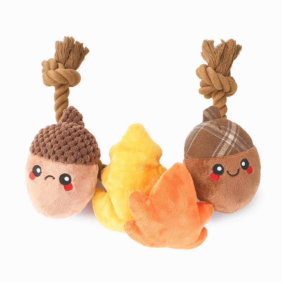 HugSmart Pet - Autumn Acorn - Dog Rope Toy