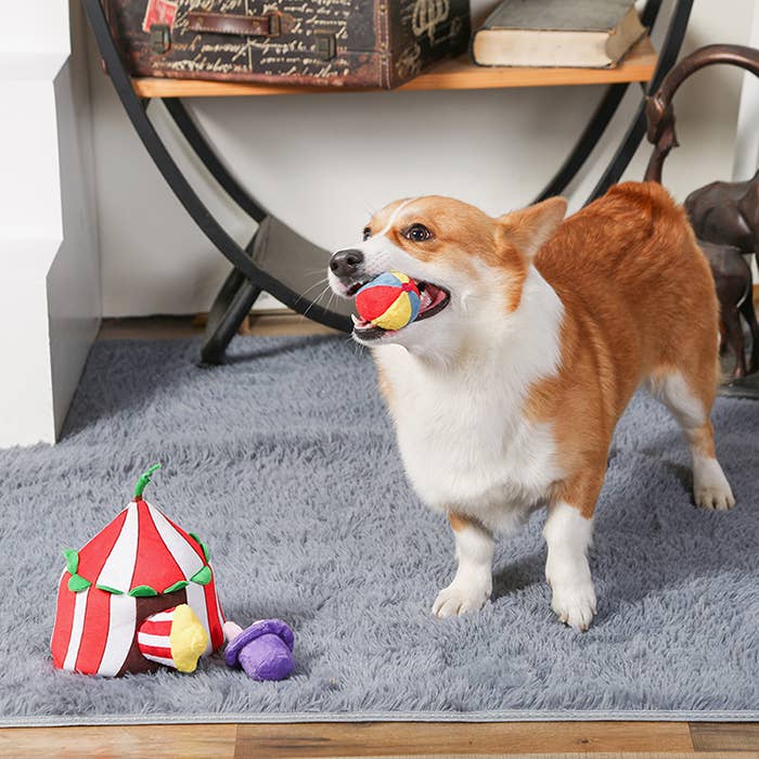 HugSmart Pet - Happy Circus Burrow Toy