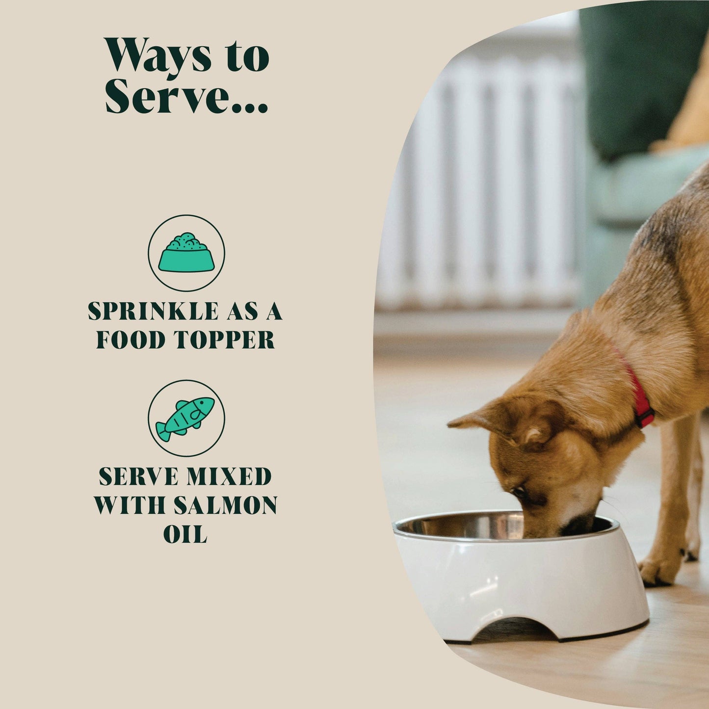 Hackney Dog House Green Lipped Mussel Powder for Dogs | 80 Servings