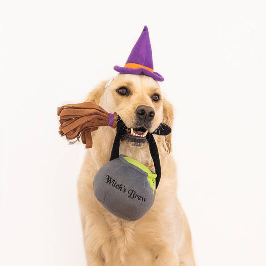 Halloween Dog Costume Kit - Witch