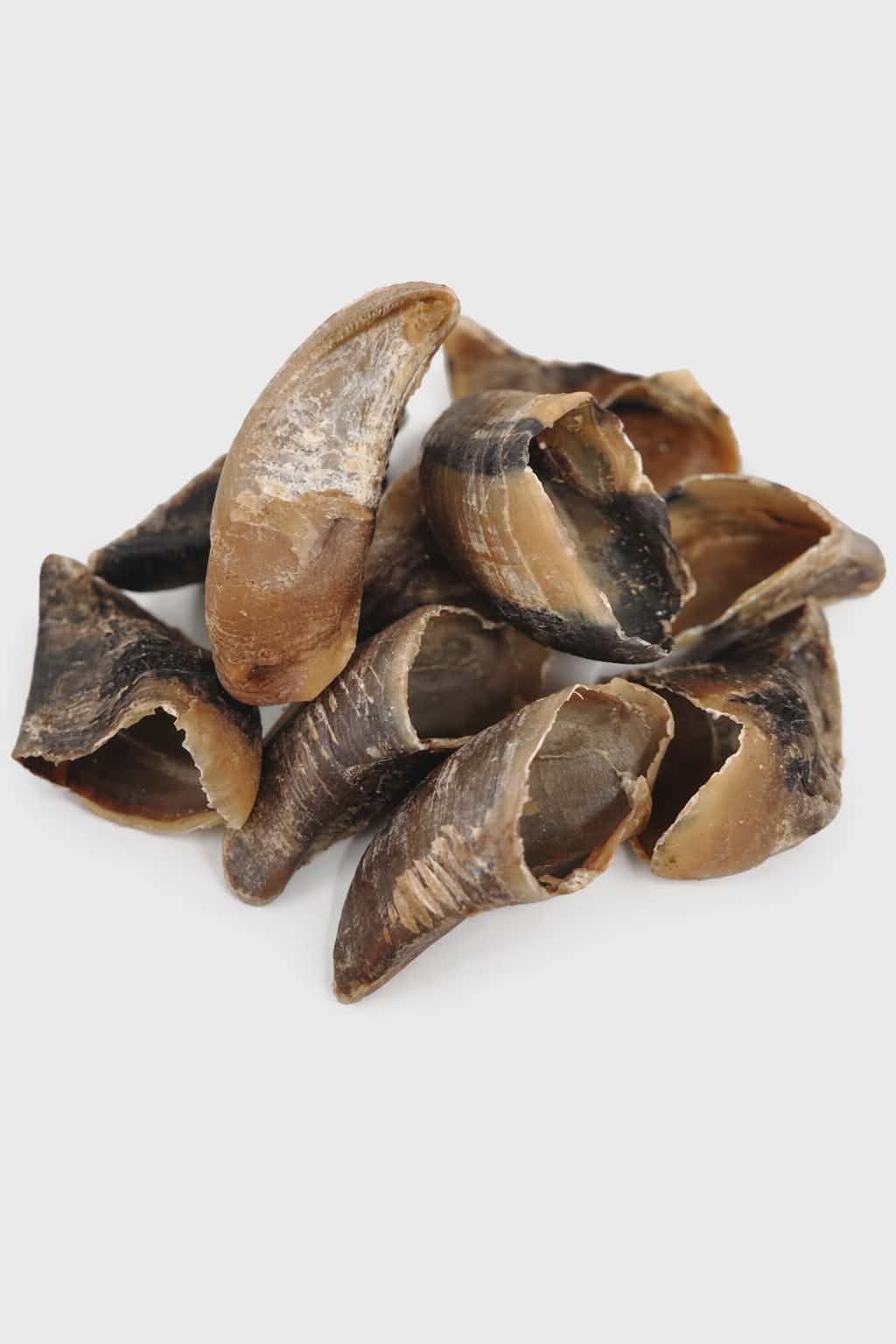 Empty Cow Hooves
