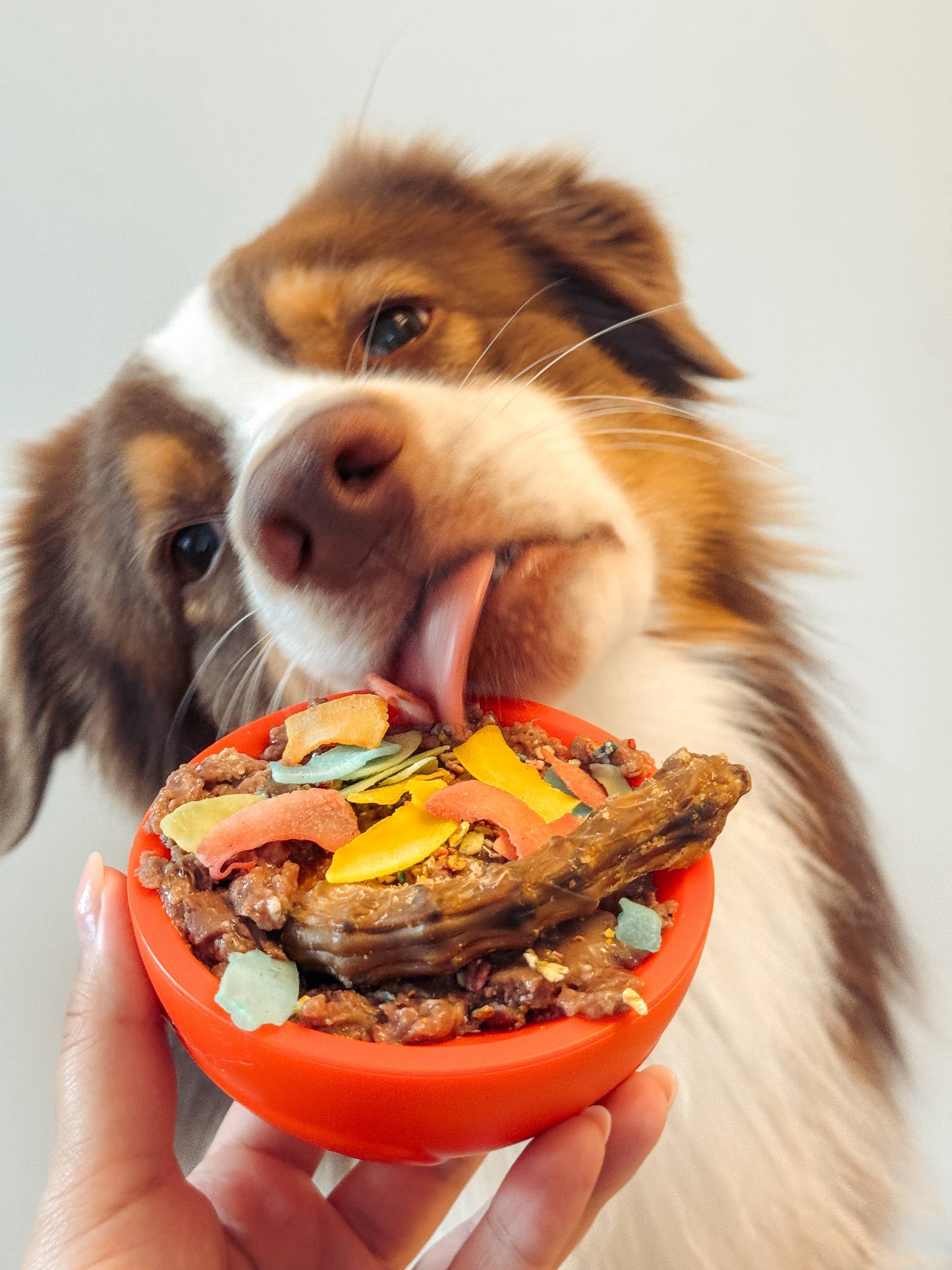 Paw Snack Bowl Large | 4 Colours