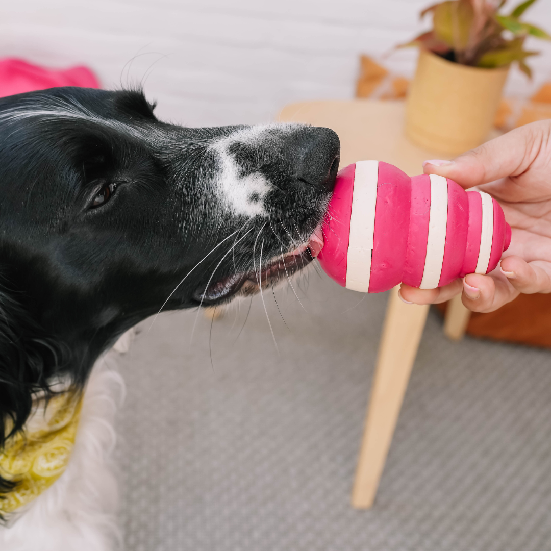 The Bubble Dog Feeder  - Lick Toy