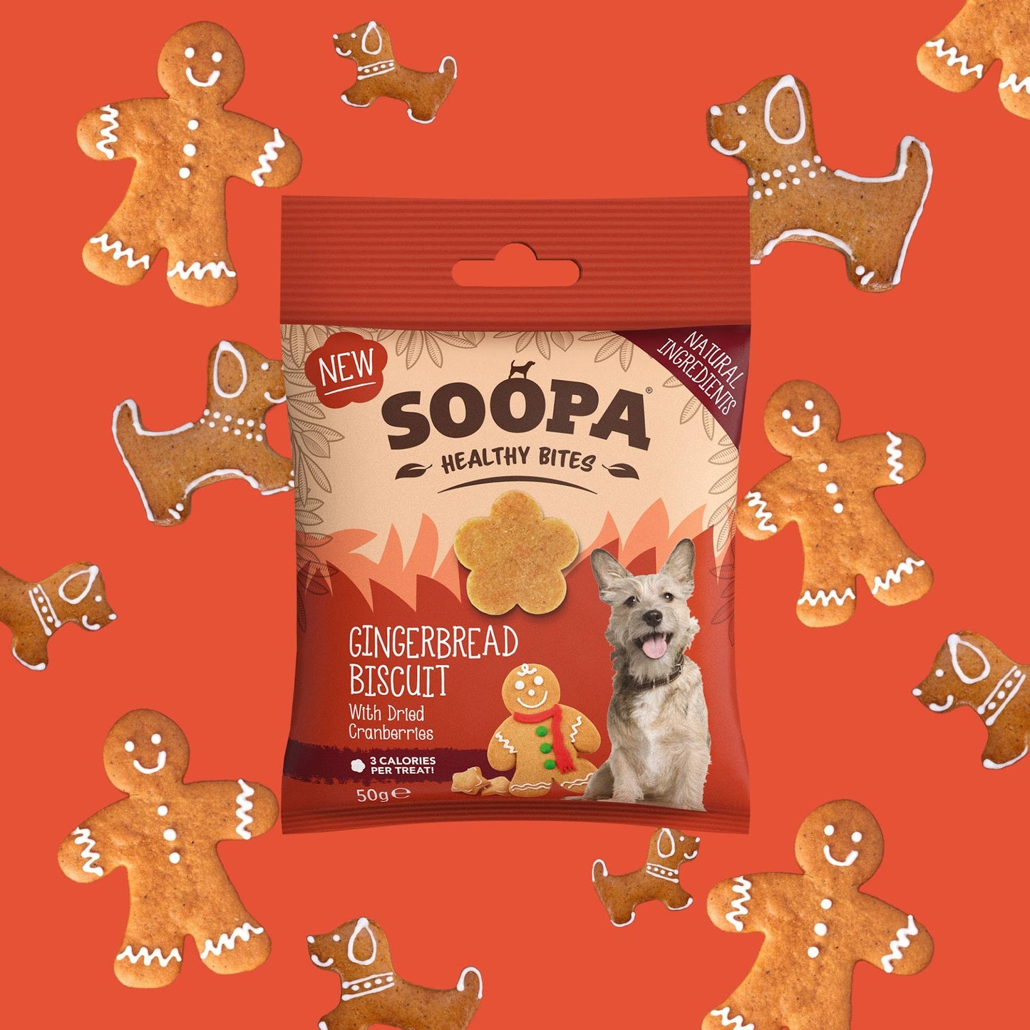 Soopa Gingerbread Biscuit Dog Treats