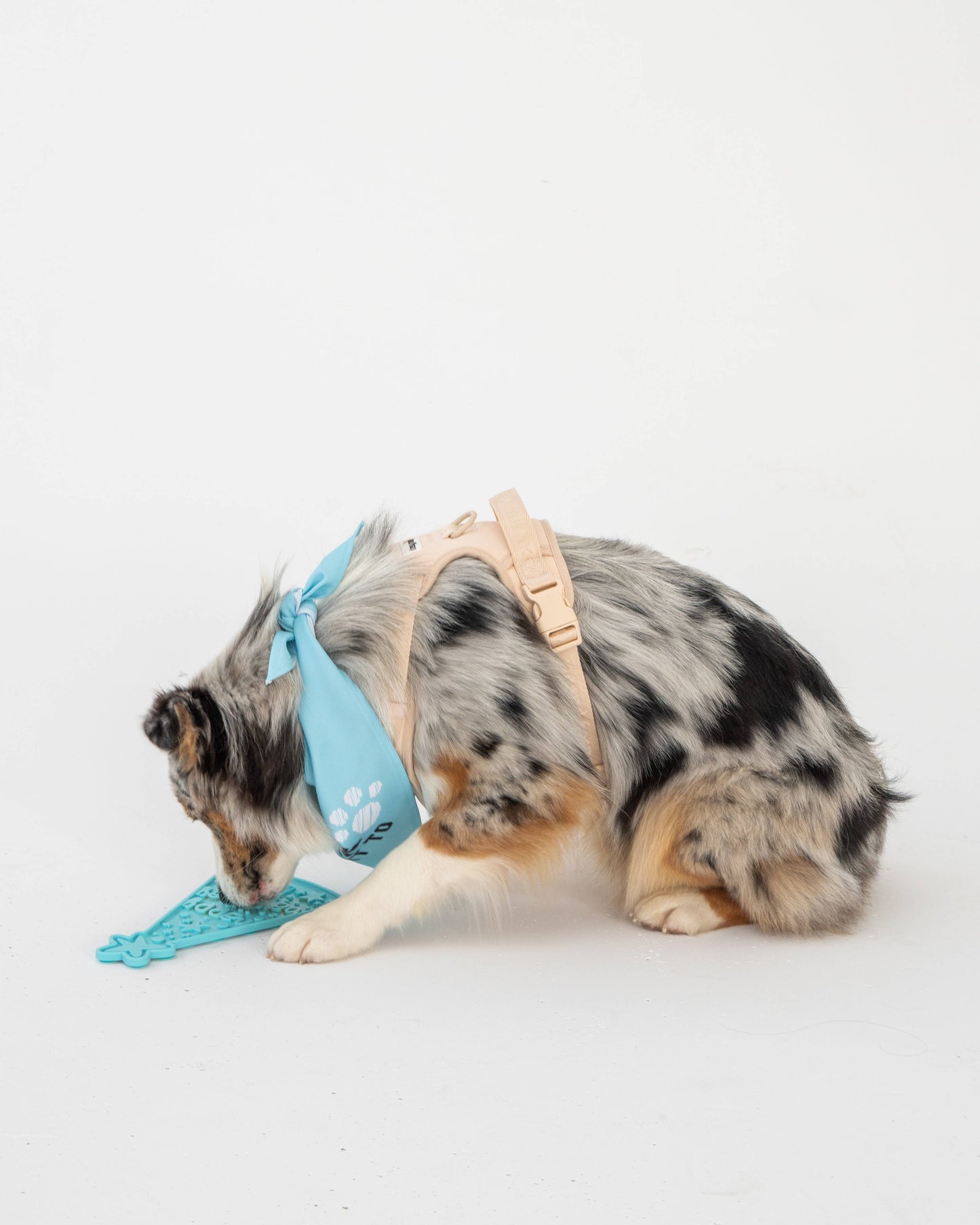 Dexy Paws Happy Bark Day Enrichment Lick Mat