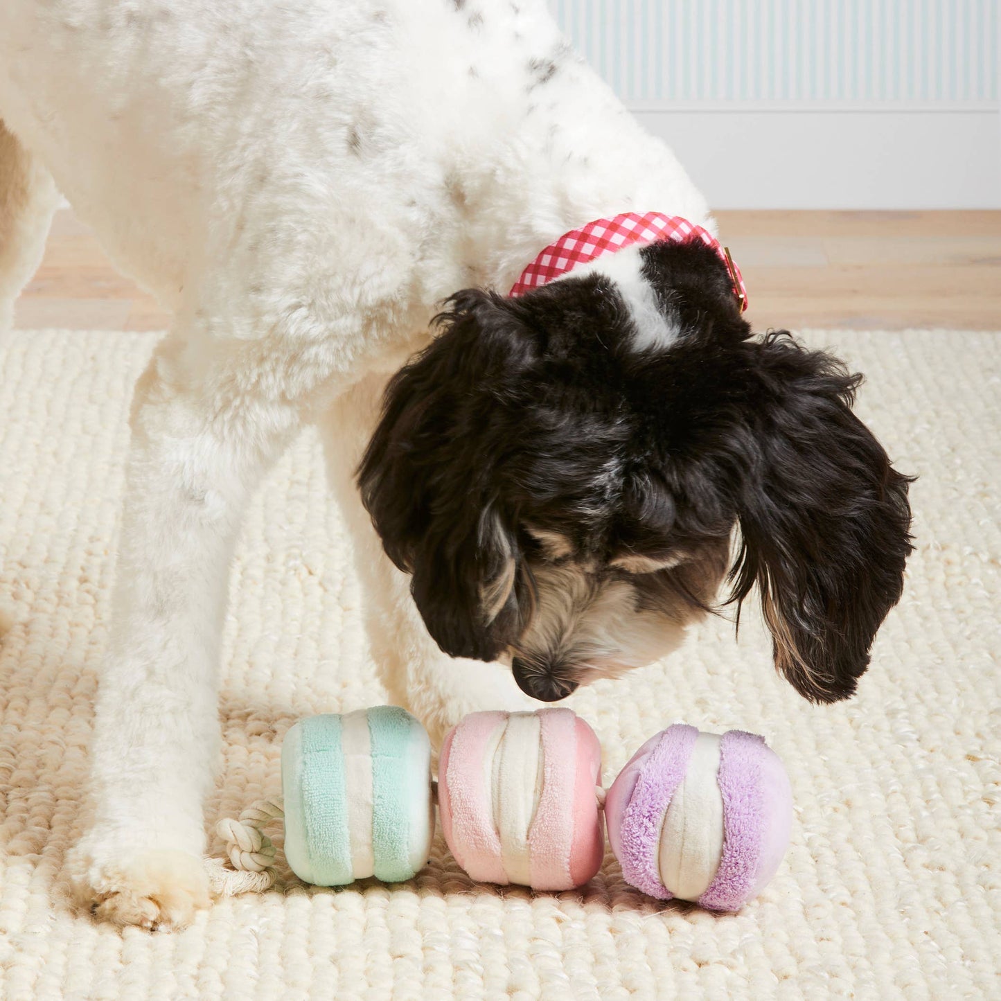 Macarons Snuffle Toy