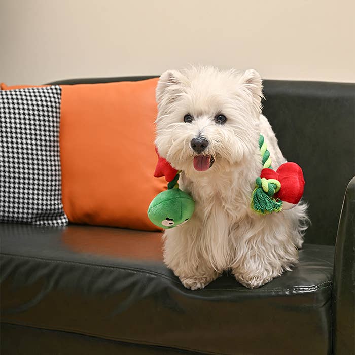 HugSmart Pet - Autumn Tailz  | Apple and Worm - Dog Rope Toy