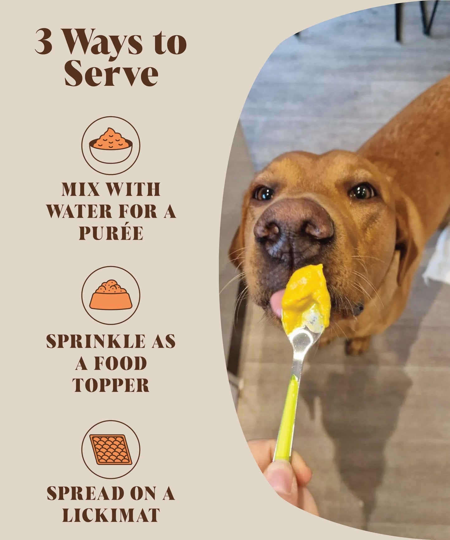 Hackney Dog House Pumpkin Powder For Dogs | 30 Servings