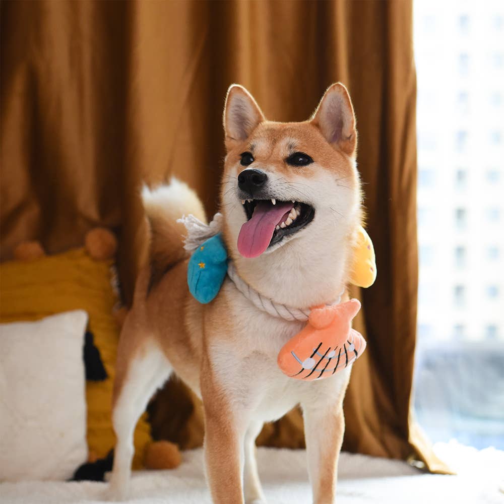 HugSmart Pet - Pirate Pups | Shell Necklace - Rope Toy
