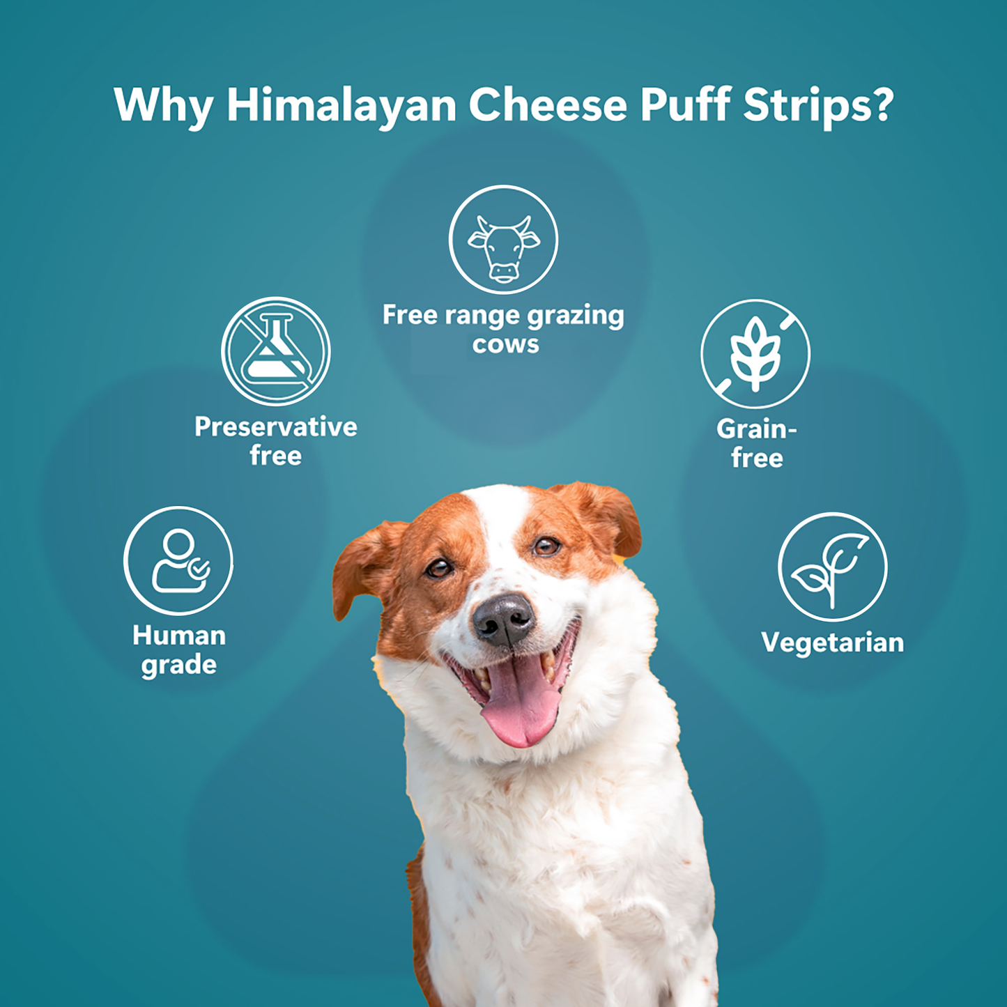 Himalayan Cheese Puff Strips for Dogs
