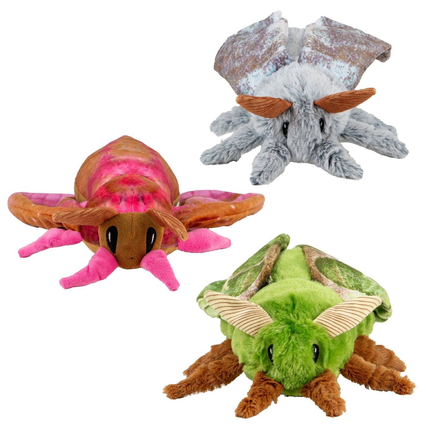 Fluffy Moths