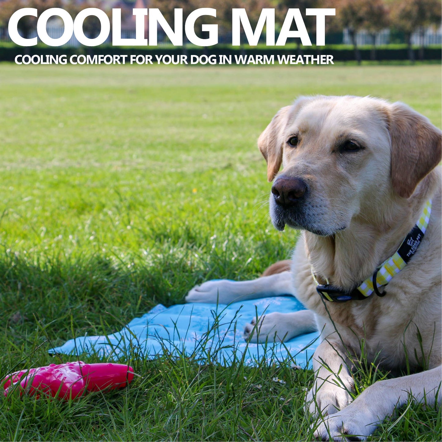 Ice Paws Cooling Mat